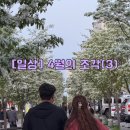 오빠통닭첨단점 | [일상] 4월의 조각(3)