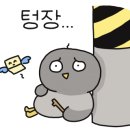 나의빛색
