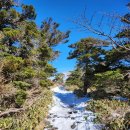 [2023. 12. 05] 한라산 관음사-성판악 코스 등반, 준비편(1) (등산초보/등린이/여자혼자)