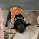 콩지네 부엌 이미지