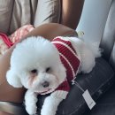 성안한의원 이미지