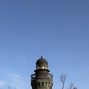 월명식당 | [군산 맛집] 아침 해장의 끝판왕! 현지인 포스 가득한 월명동 ‘월명식당’ 물메기탕 후기