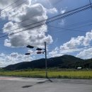 강동 국수 한그릇 이미지