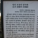 영천 보성리 암각화 | 영천 보성리 암각화(永川甫城里巖刻畵)