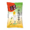 오케이라이스센터 이미지