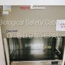 임뮤노씽크