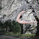 쟝폴 폴댄스 이미지