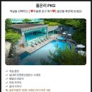 제주 위호텔 실내수영장 조식 카페 WE호텔 산소방 웰니스 가격 할인 총정리