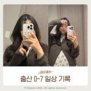 도그마캣시흥배곧점 | 임신 35주 36주 증상_두통, 출산 D-7, 배크기, 마지막 임신 기록