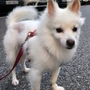 관저종합동물병원 이미지