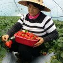 원택농장 이미지