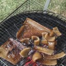 하얀집 STAY | 경주 단체 독채 펜션 하얀집 STAY