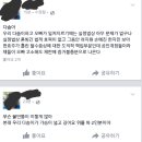 현재 허언증 의심되는 외모지상주의 현대판 페이스북 강남건물주.jpg 이미지