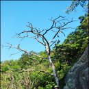 산바라기펜션 | 가평 운악산 출렁다리 雲海에 반하다.