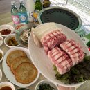 돌고개늘품 이미지