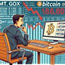 갤럭시 리서치 “Mt.Gox 상환이 두렵지 않은 세 가지 이유” 이미지