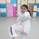 성웅태권도 이미지