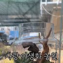 꽃사랑플라워샵 이미지