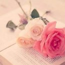 리치 캐슬 이미지