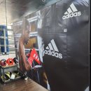 고릴라 복싱 | 구미복싱 운동이 재밌어지는 곳 고릴라복싱 후기