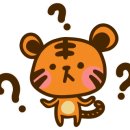 앤조이터키