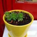 왕길동 꼬마김밥 이미지