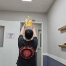 채움플러스학원 이미지