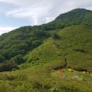 로드메디 이미지