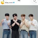딩고 레츠고!!!! 이미지