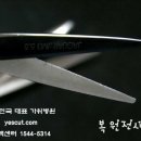 임*성 이미지