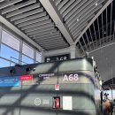 하나스토리 호스텔 | 교환학생 • 여행] Ep.18 | 덴마크 코펜하겐🇩🇰 호스텔 추천부터 관광 코스까지🧳 모든 게 완벽한 도시❣️