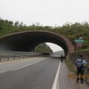 금남호남정맥 4구간 - 활인동치에서 모래재(17.6+0.4=18km) 이미지