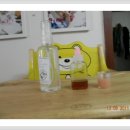 별이랑식물사랑 Daum카페
