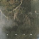 교향악단 제11회 브런치 콘서트 | 문화예술공연콘서트20260315일요일