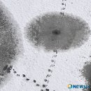 한국수묵화(오후) 이미지