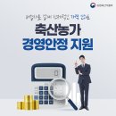 배합사료 업계 선제적인 가격 인하 축산농가 경영안전 지원 ＜8월 28일 출고분부터 300원 추가 인하＞ 이미지