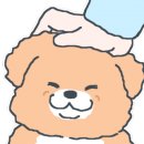 생글댕글 이미지