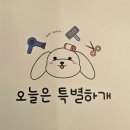 오늘은 특별하개 이미지