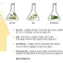 네일모두 이미지