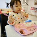 보성익스프레스 이미지