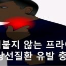 들러붙지 않는 프라이팬 '갑상선질환 유발' 이미지