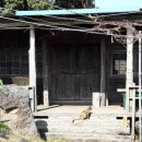 포토갤러리자연사랑 미술관 이미지