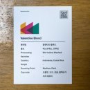 준다커피(JUNDA COFFEE) | 커넥츠커피 발렌타인 블렌드 드립백 후기 Connects Coffee Valentine Blend Drip Bag
