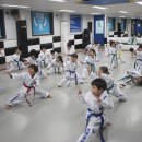 명성태권도체육관 이미지