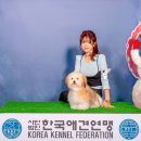 꼬똥몽드(Cotonmonde) 이미지