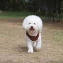 미르빈카페 네이버블로그
