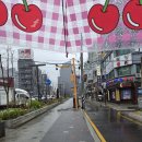 서리풀성모정형외과의원 | 서리풀성모정형외과 방배노인종합복지관 4월 촉탁의 진료