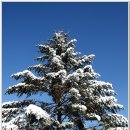 야생화펜션 이미지