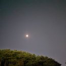 시나브로 경주
