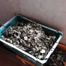 달뜨기흑염소목장 이미지